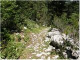 Petrovo Brdo - Planina Za Črno goro